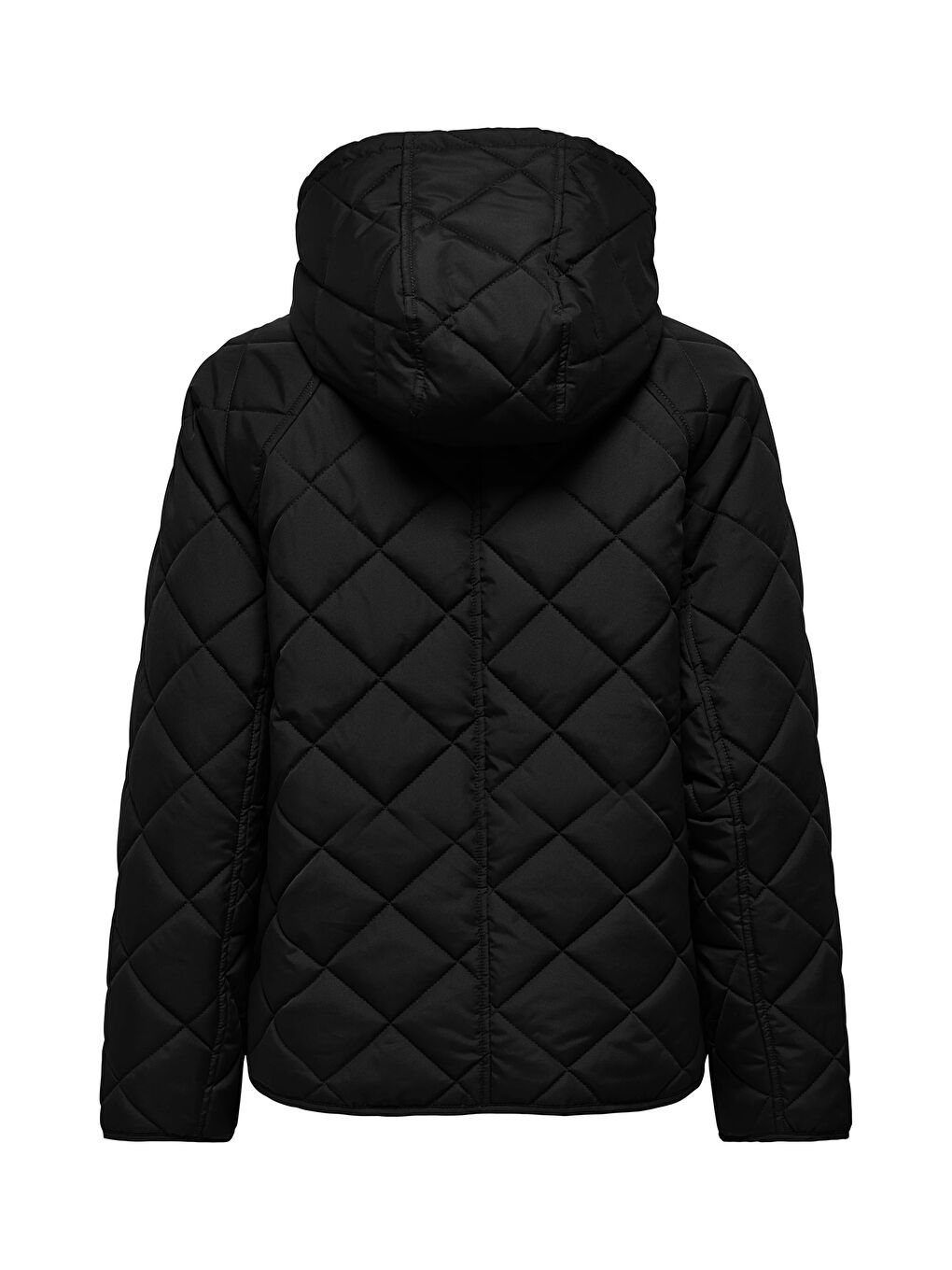 Siyah Onlsigga Kapitoneli Regular Fit Kapüşon Yaka Ceket 15358867-1