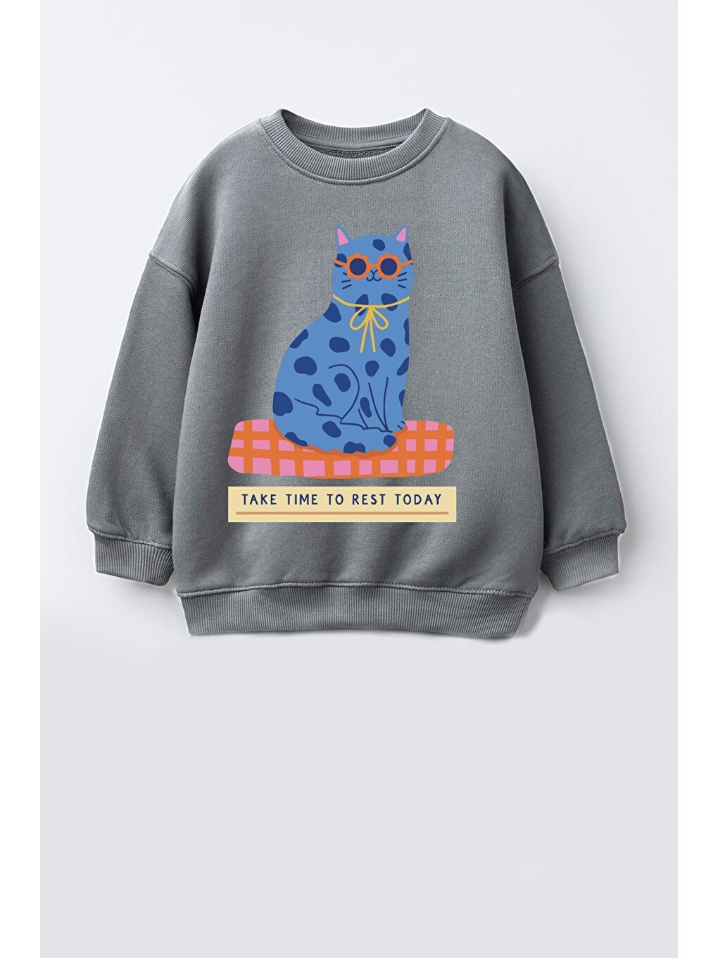 Antrasit Kız Çocuk 3 İplik Kumaş Pamuklu Mavi Kedi Baskılı Sweatshirt