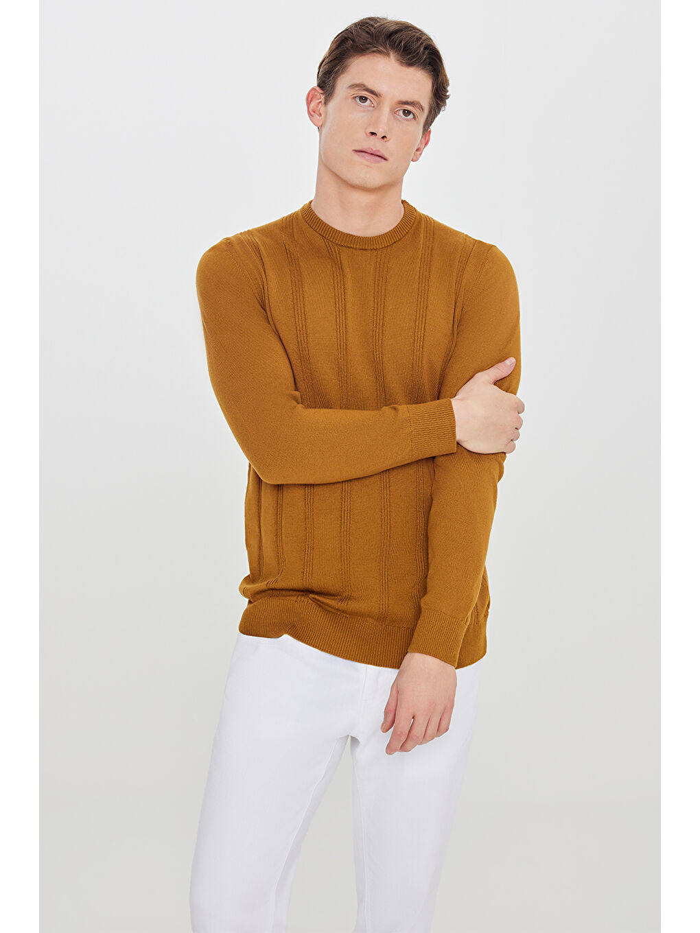 Erkek Kahverengi %100 Pamuk Standart Fit Bisiklet Yaka Jakarlı Triko Kazak-2