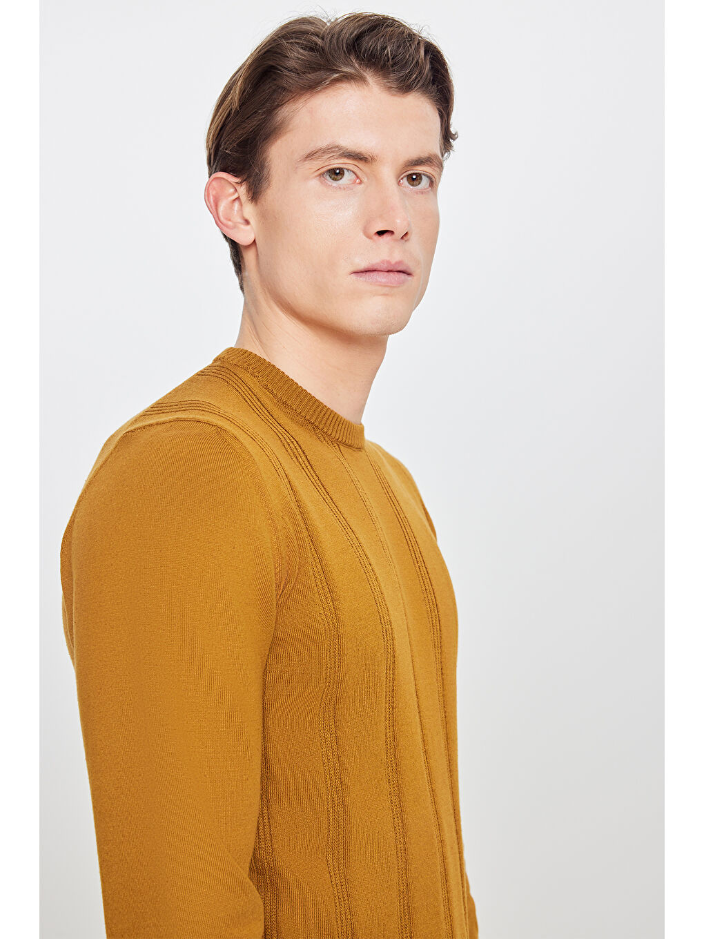 Erkek Kahverengi %100 Pamuk Standart Fit Bisiklet Yaka Jakarlı Triko Kazak-3