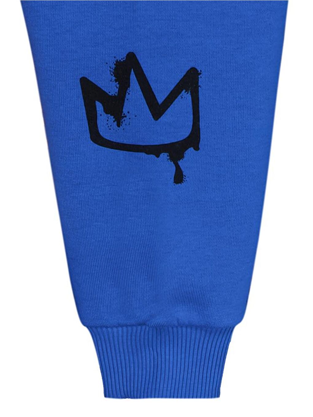 Mavi Erkek Çocuk Kaykay Baskılı 2-5 Yaş Eşofman Takımı-1