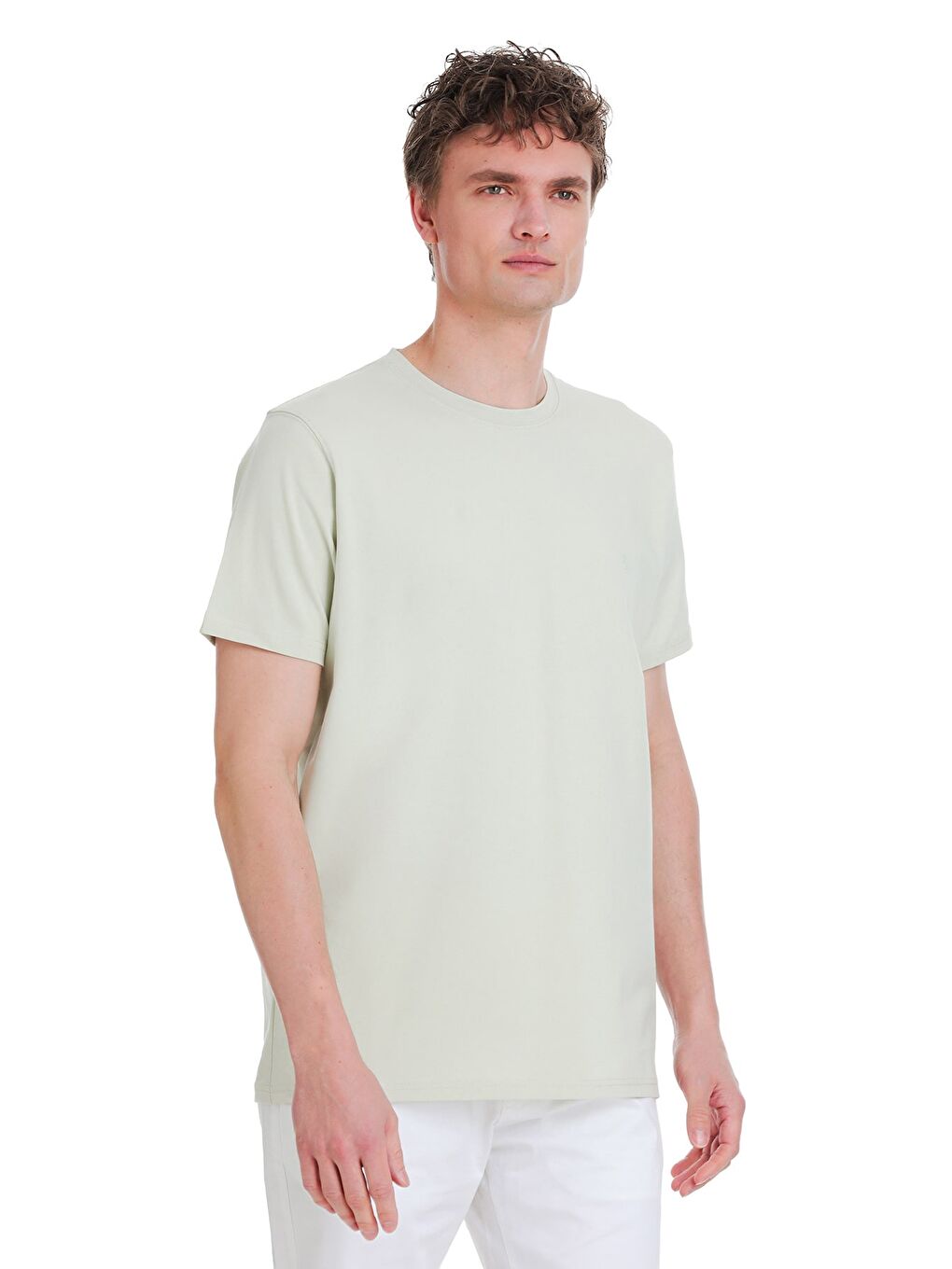 Yeşil Regular Fit Bisiklet Yaka Pamuklu %100 Pamuk Tişört-2