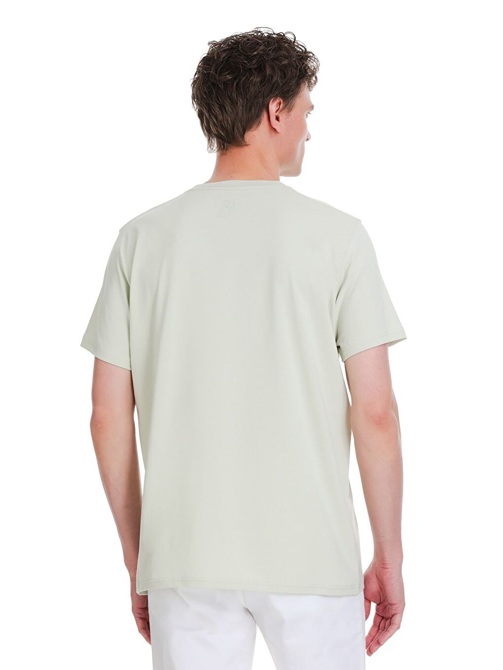 Yeşil Regular Fit Bisiklet Yaka Pamuklu %100 Pamuk Tişört-4
