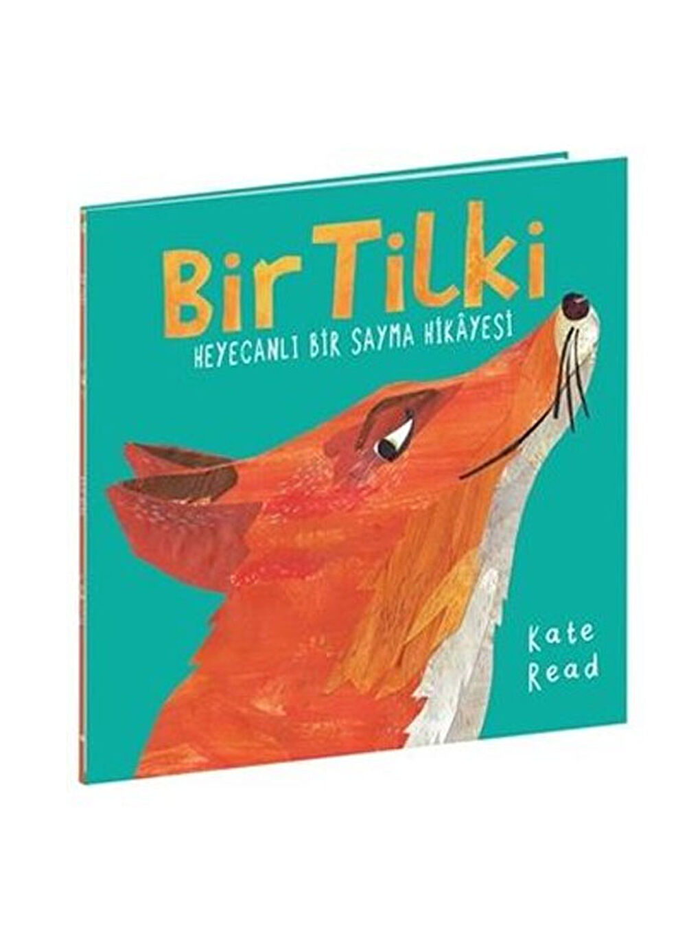 Bir Tilki Heyecanlı Bir Sayma Hikayesi Kate Read