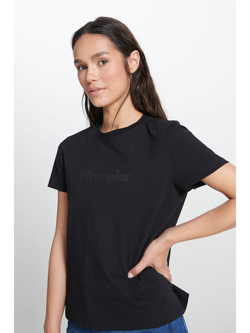 Regular Fit Normal Kesim Bisiklet Yaka %100 Pamuk Siyah Tişört-1