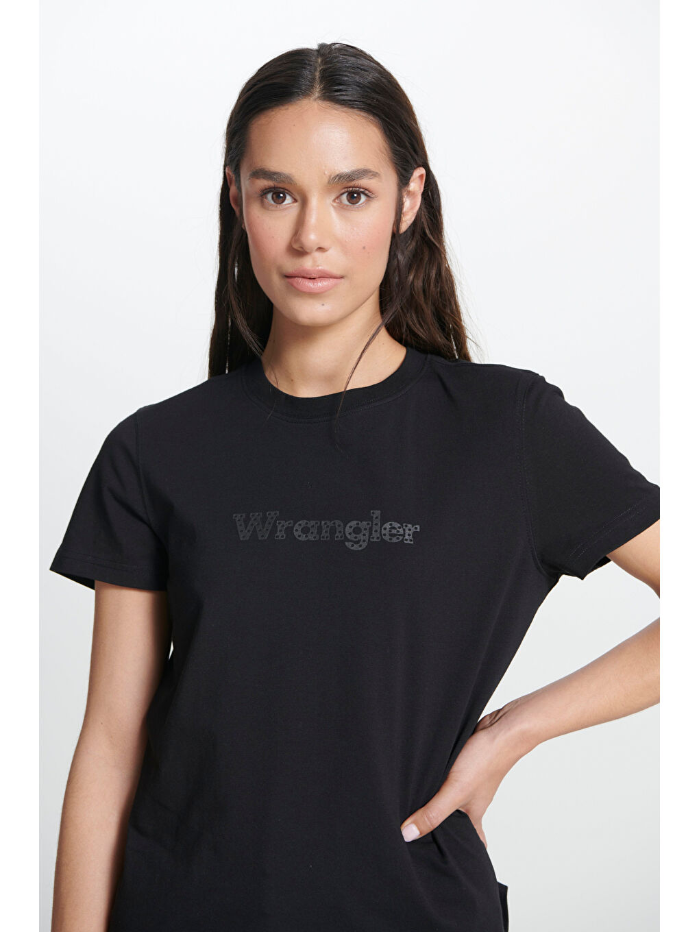 Regular Fit Normal Kesim Bisiklet Yaka %100 Pamuk Siyah Tişört-3