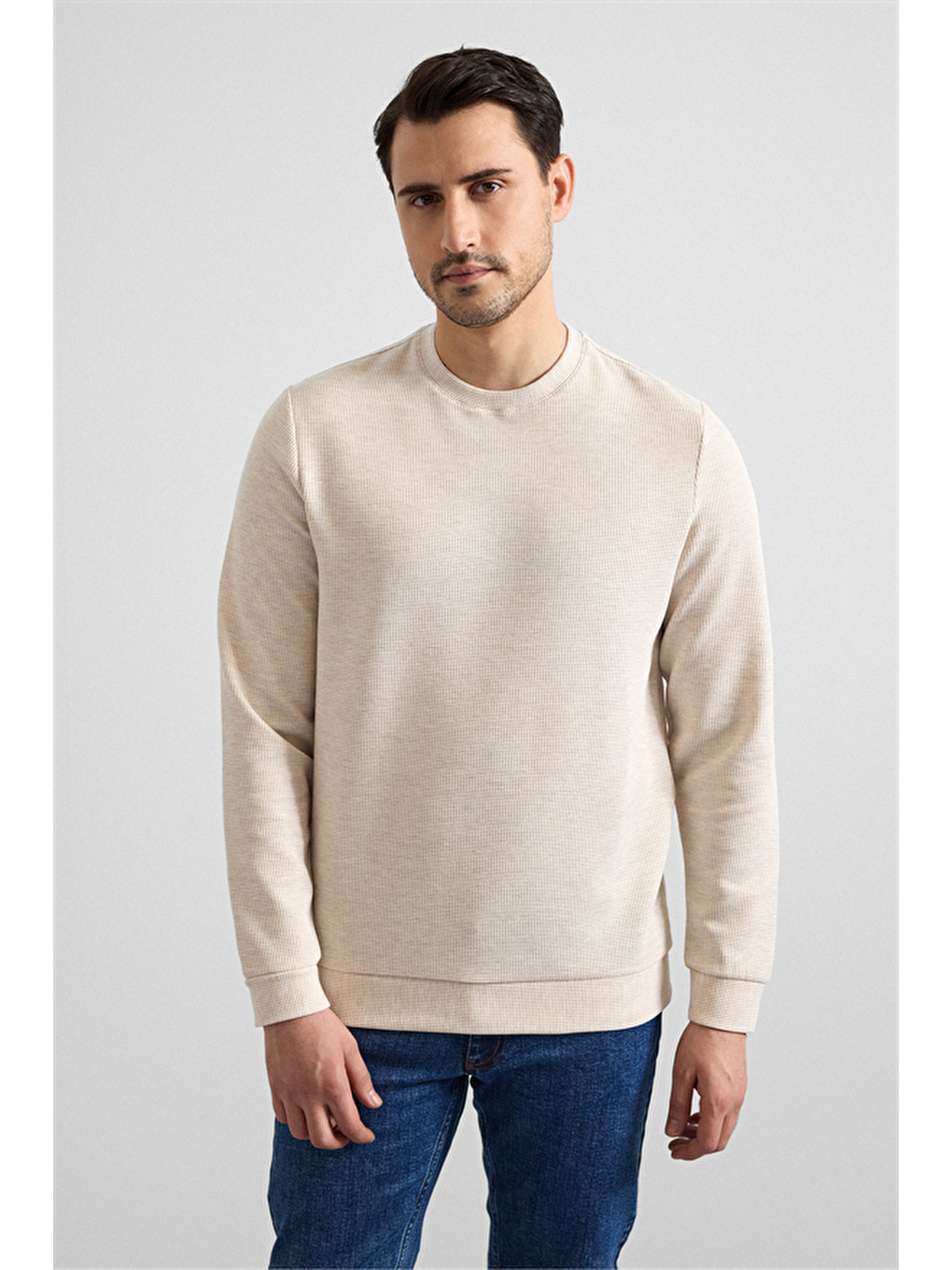 Bej Regular Düz Bisiklet Yaka Sweatshirt