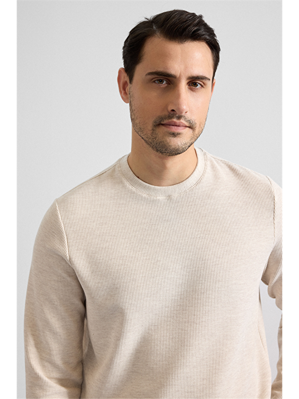 Bej Regular Düz Bisiklet Yaka Sweatshirt-1