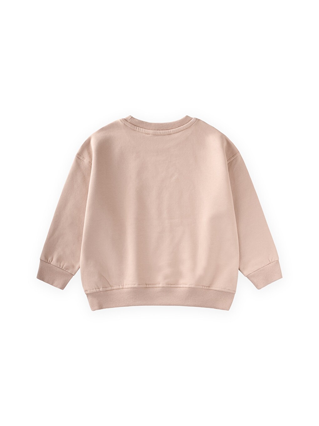 Dağ Baskılı Sweatshirt 3-9 Yaş Bej-1