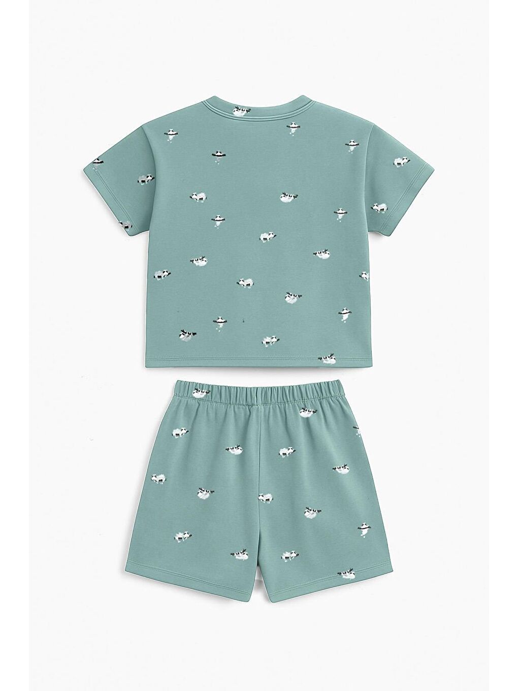Yeşil Erkek Çocuk Koala Desenli %100 Pamuk Alt Üst Takım (3-4 - 8-9 Yaş)-2