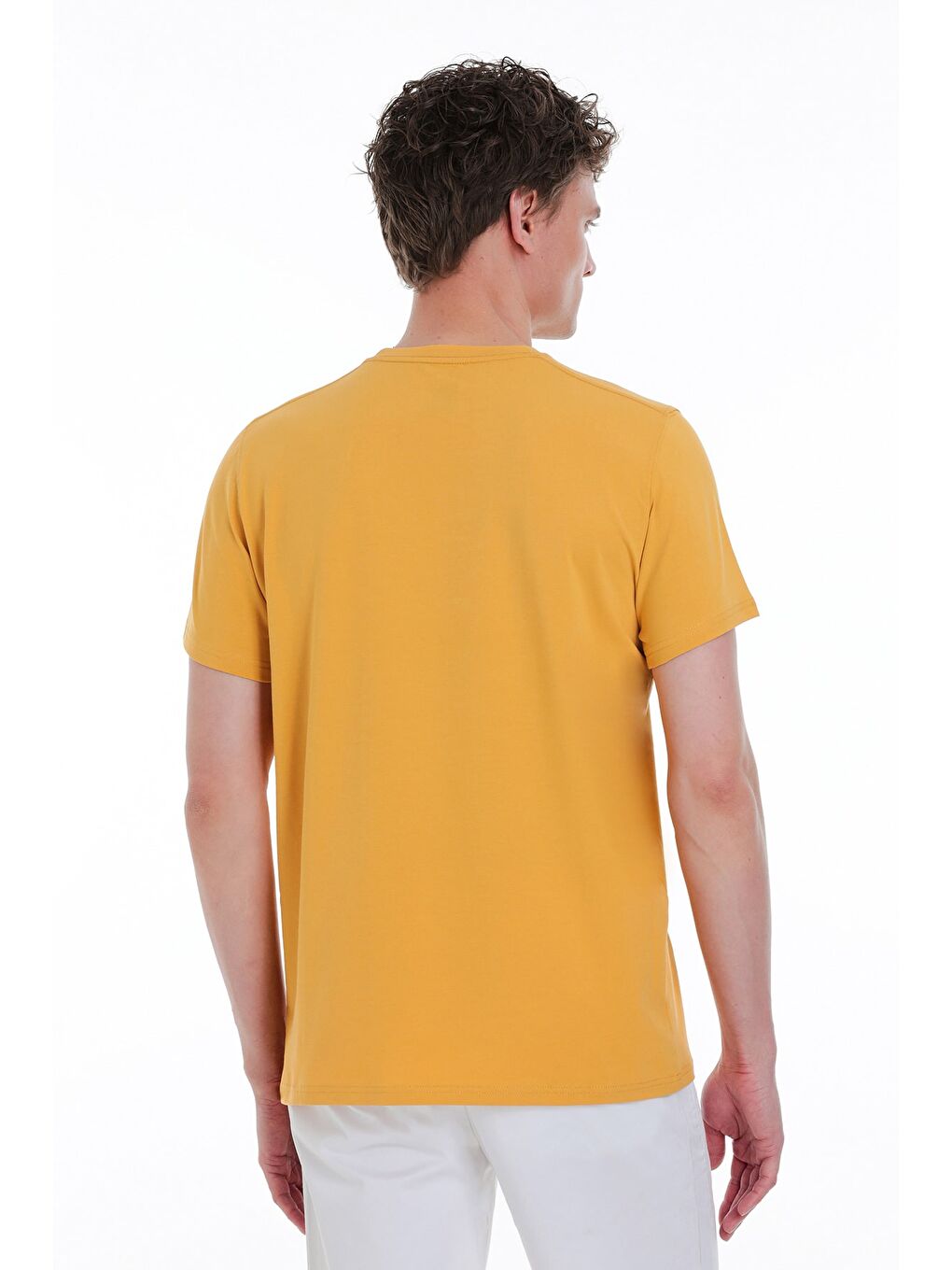 Sarı Regular Fit Bisiklet Yaka Pamuklu %100 Pamuk Tişört-4