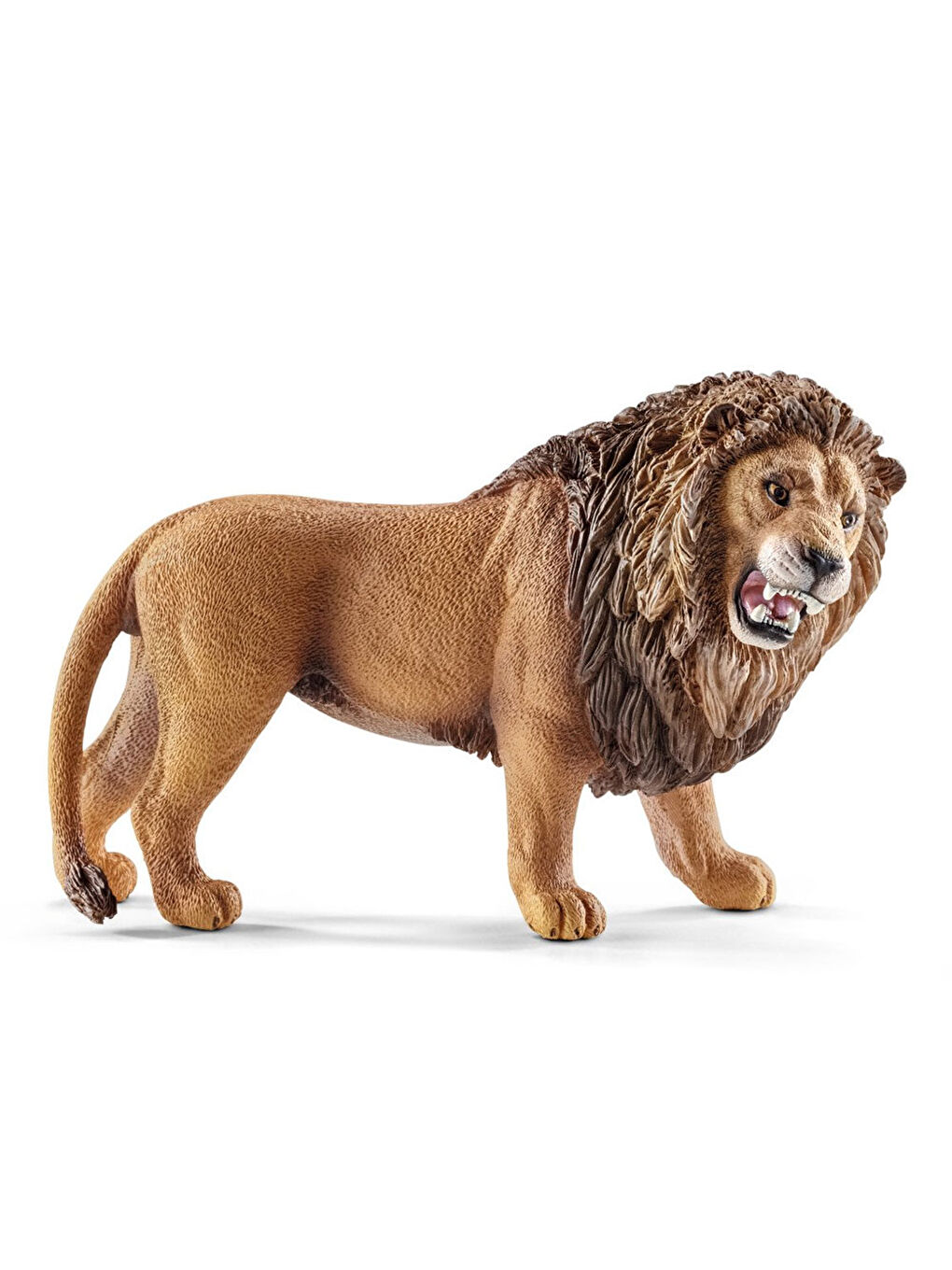 Kükreyen Aslan 14726