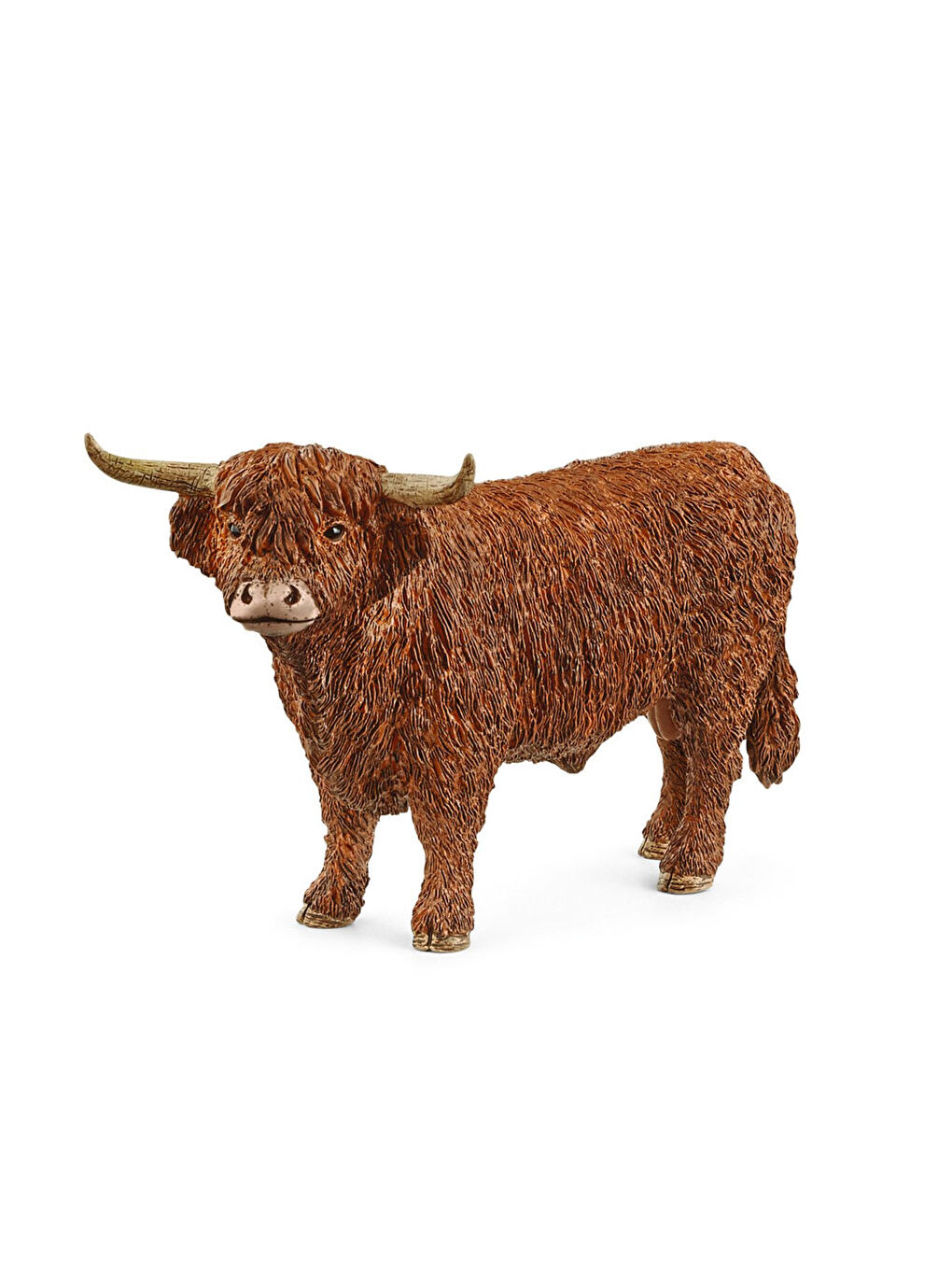 Highland Boğa 13919