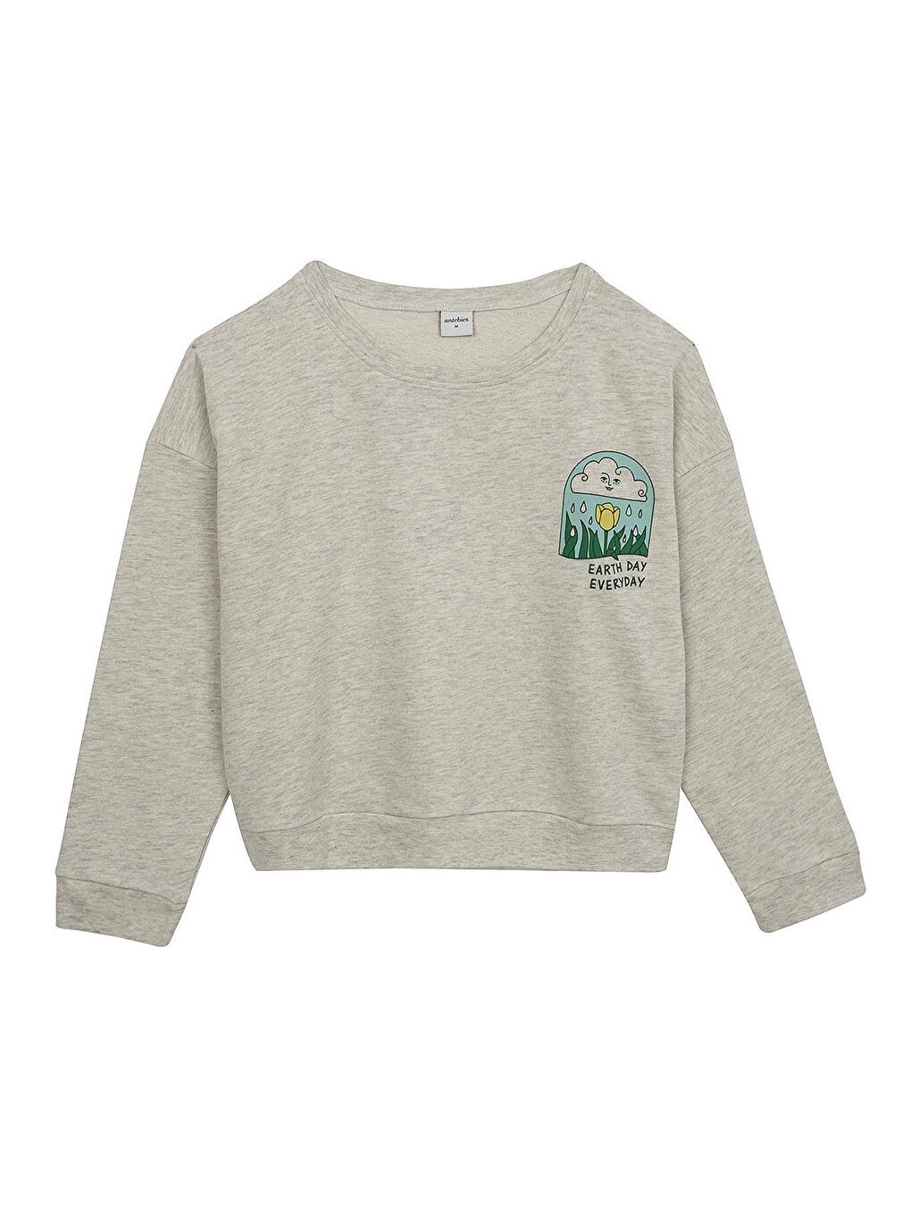 Gri "Earth Day" Baskılı Sweatshirt
