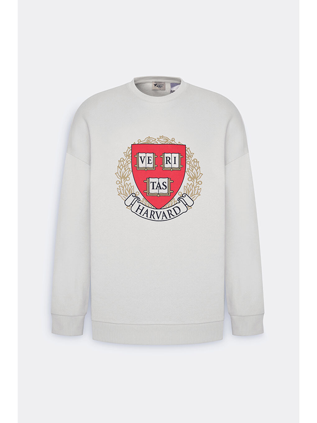 Erkek Ekru Oversize Fit Bol Kesim Harvard Lisanslı 3 İplik Pamuklu Bisiklet Yaka Sweatshirt-4