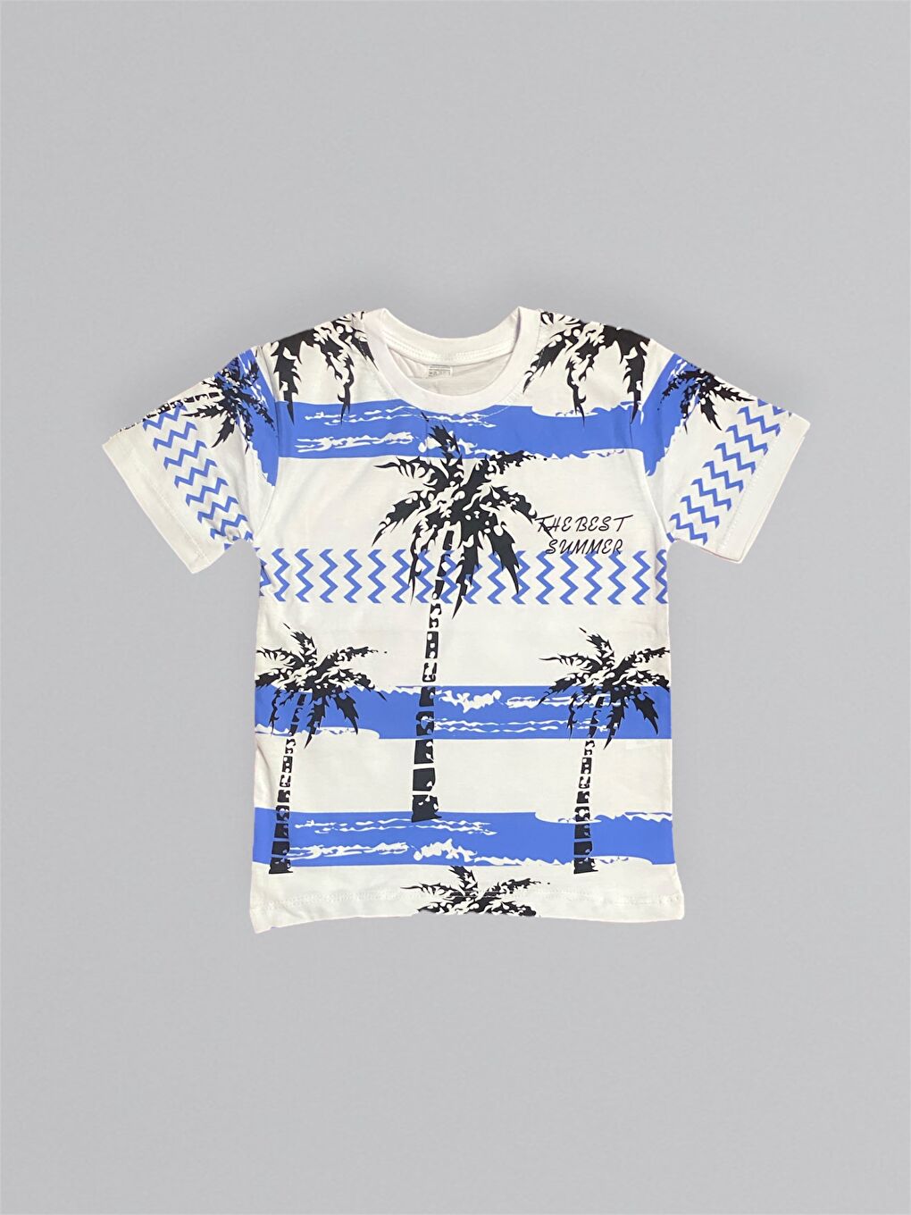 Mavi Baskılı Erkek Çocuk Tişört Şortlu Takım M00715-5