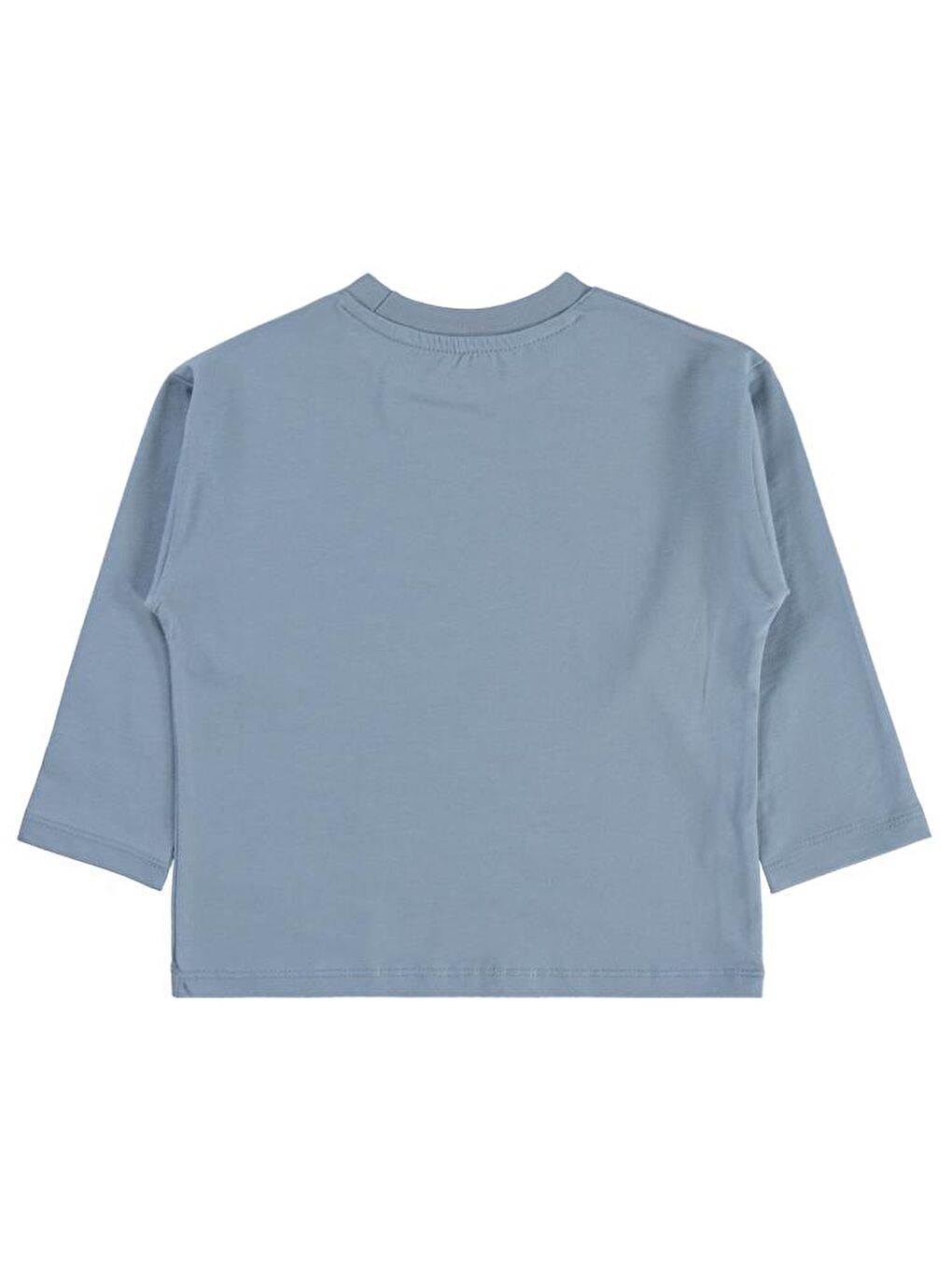 Boys Fores Buddy Baskılı 2-5 Yaş Sweatshirt - Mavi5-6 Yaş-1