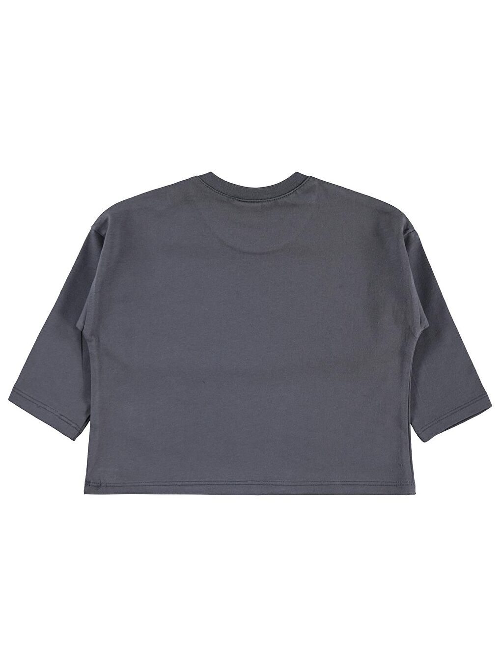 Baby Basic 6-18 Ay Sweatshirt - Gri 6-9 Ay-1