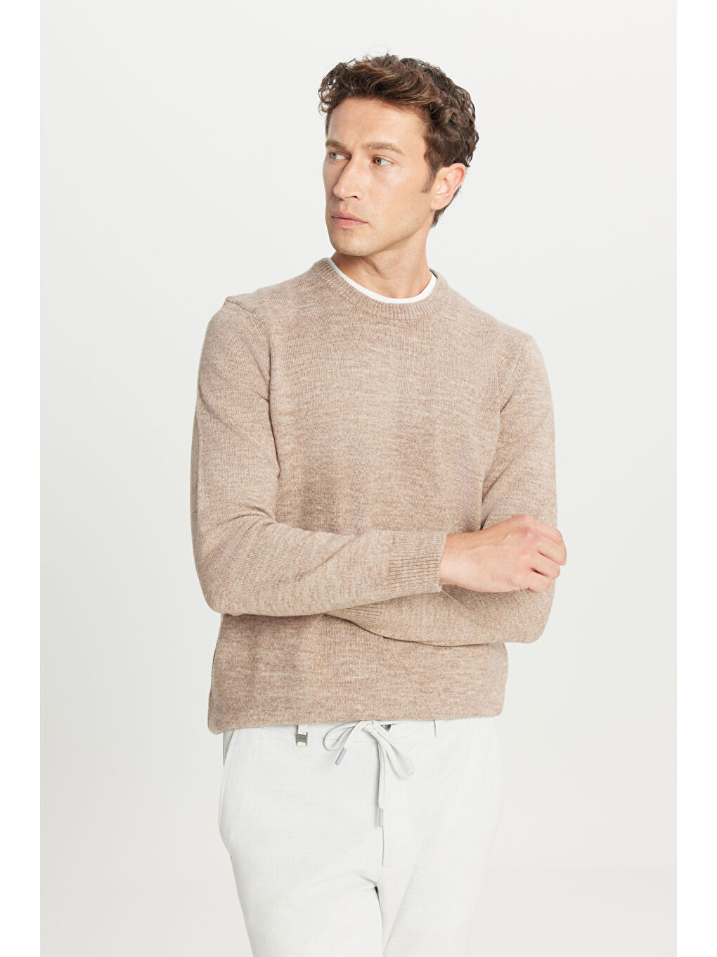 Bej Erkek Vizon Standart Fit Normal Kesim Bisiklet Yaka Şardonlu Triko Kazak-2