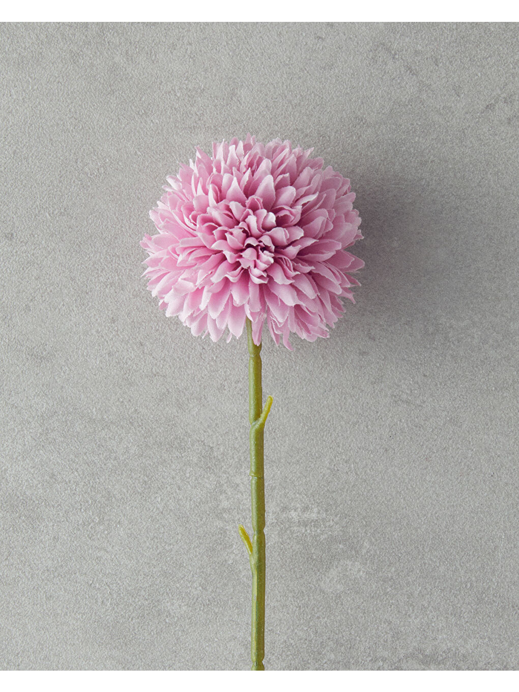 Pembe Dandelion Tek Dal Yapay Çiçek Gül Kurusu-1