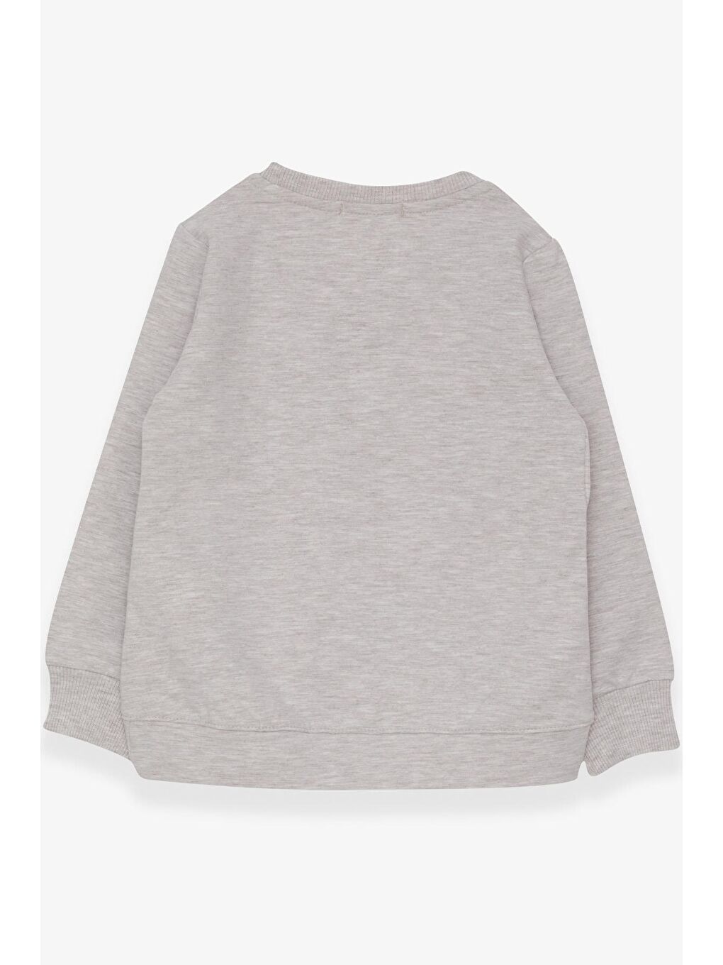 Kız Çocuk Sweatshirt Pullu Kız Baskılı Bej Melanj (3-6 Yaş)-1