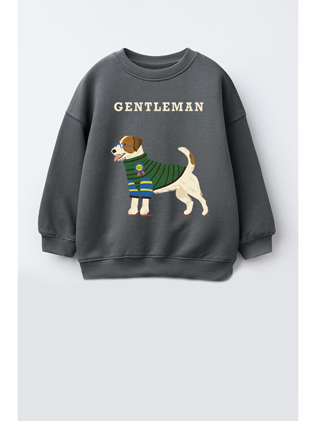 Antrasit Erkek Çocuk 3 İplik Kumaş Hayvan Baskılı Pamuklu Sweatshirt-1