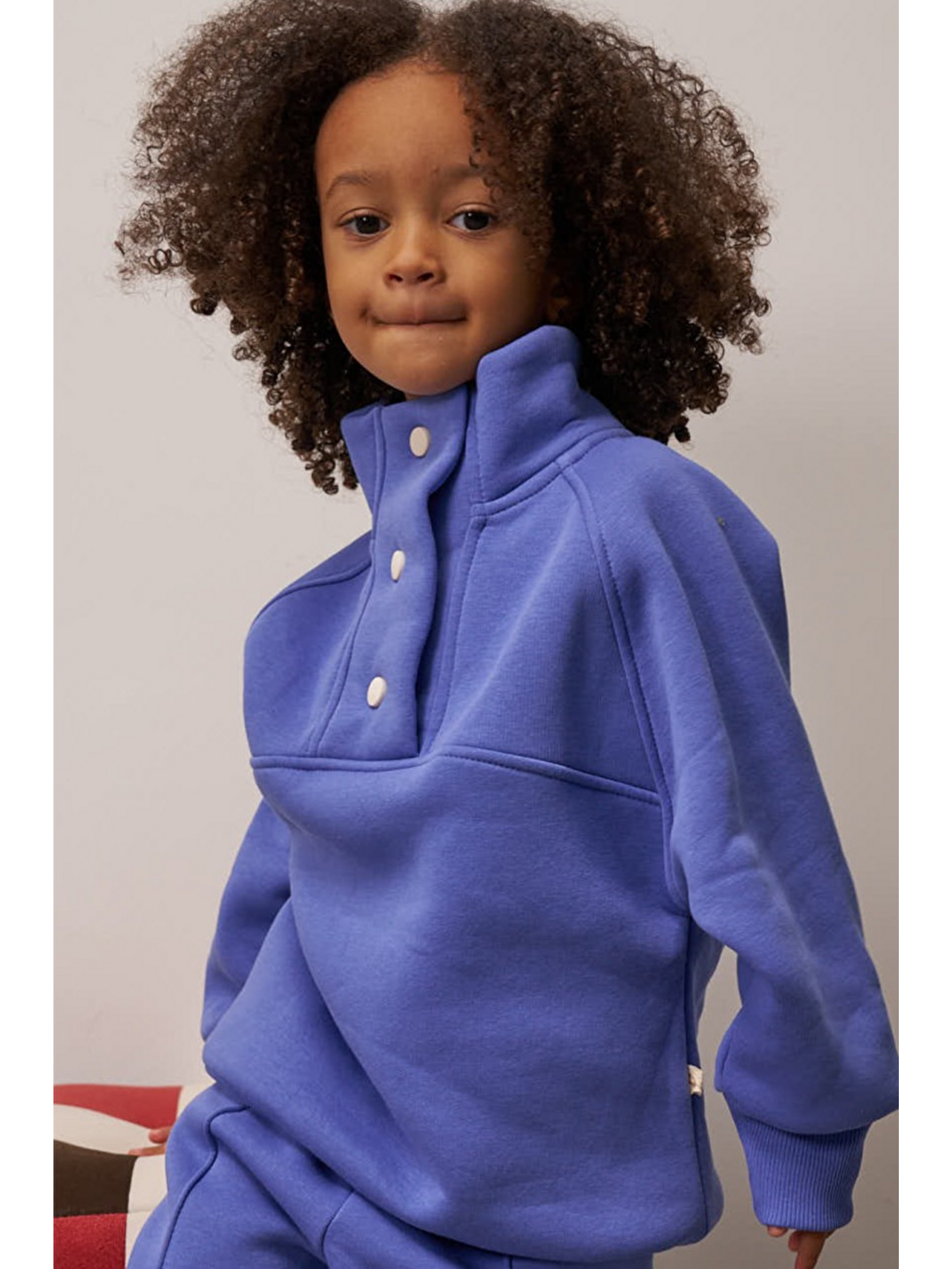 Mavi Leylak Dik Yaka Çıt Çıtlı Sweatshirt-3