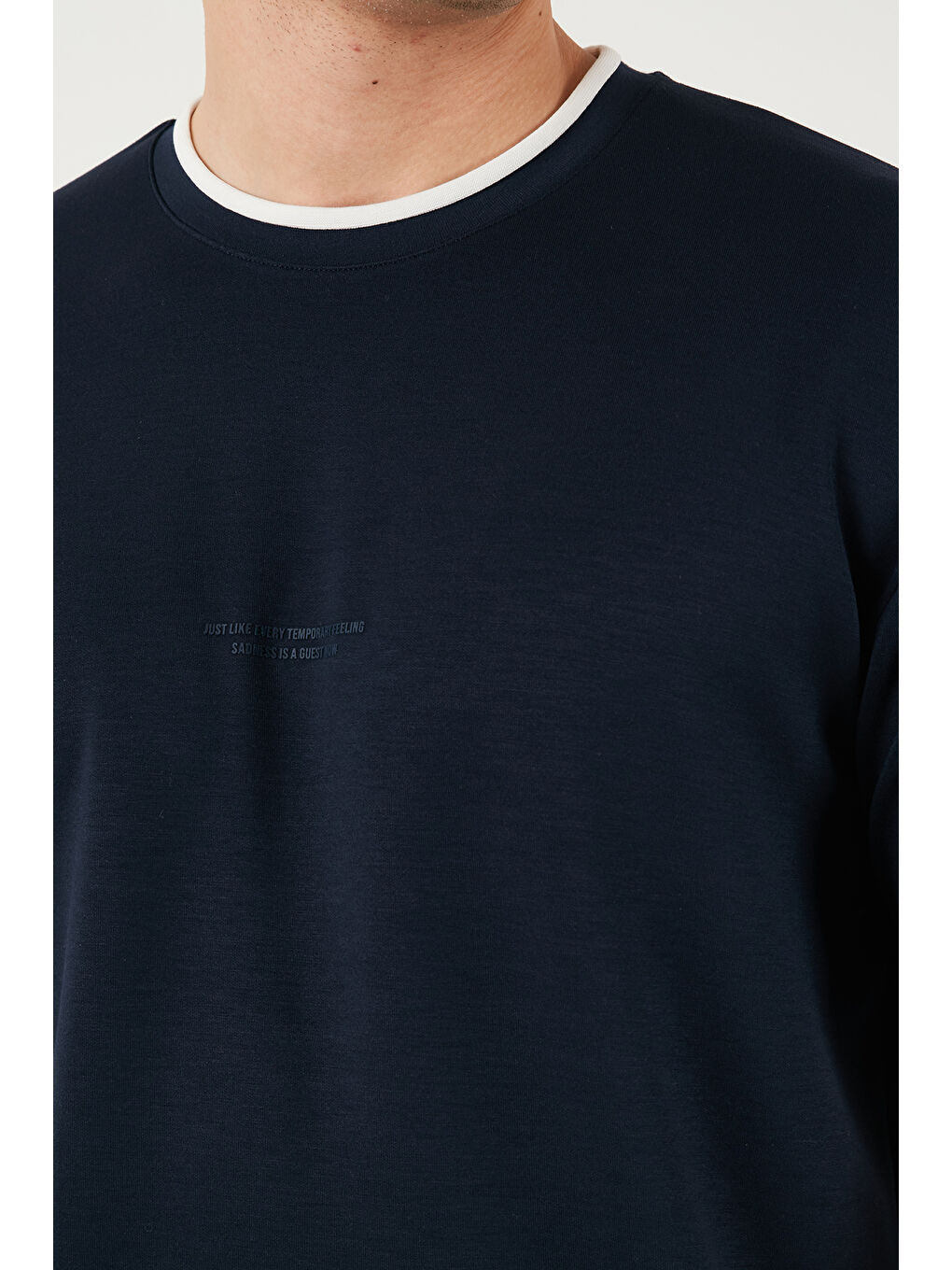 İndigo Regular Fit Bisiklet Yaka Kumaş T Shirt 5904091-5