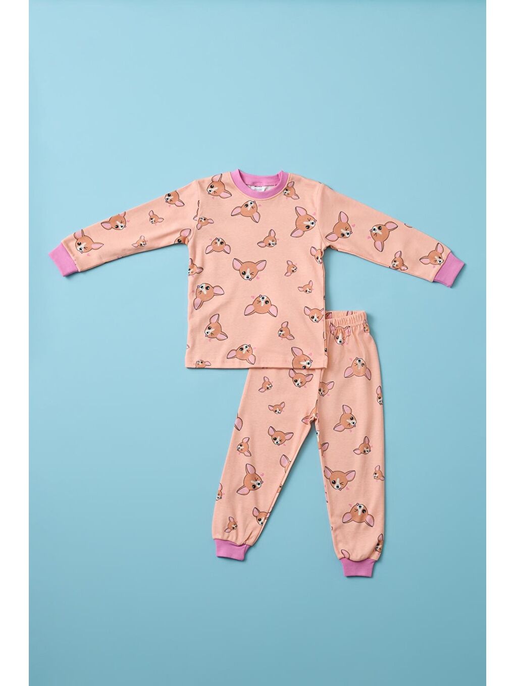 Karışık Kız Çocuk Köpek Baskılı Pijama Takımı