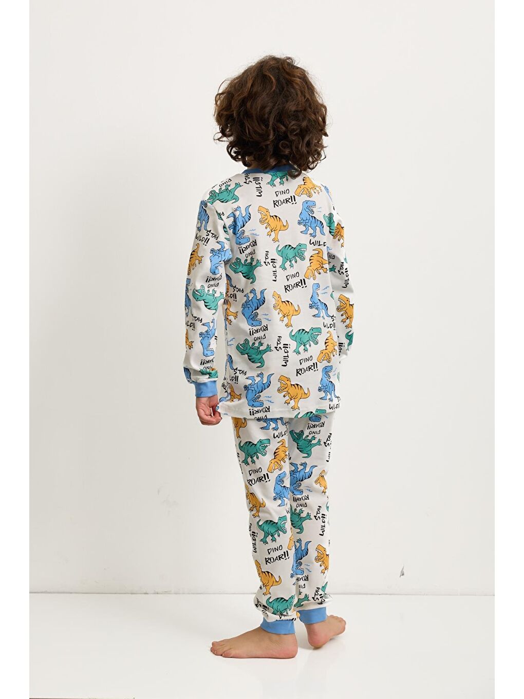 Karışık Erkek Çocuk Dinozor Baskılı Pijama Takımı-2