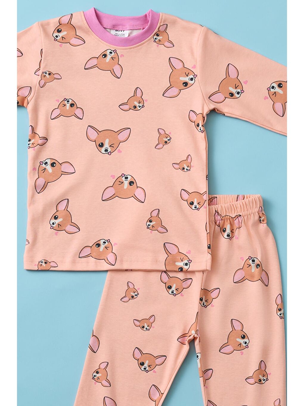 Karışık Kız Çocuk Köpek Baskılı Pijama Takımı-1