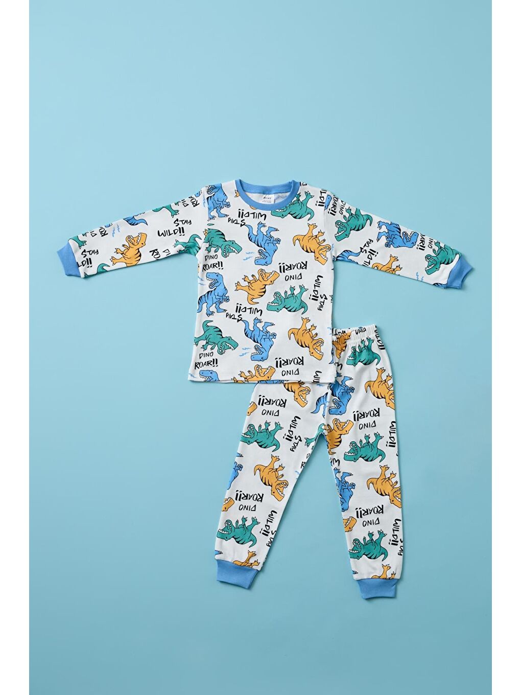 Karışık Erkek Çocuk Dinozor Baskılı Pijama Takımı-3