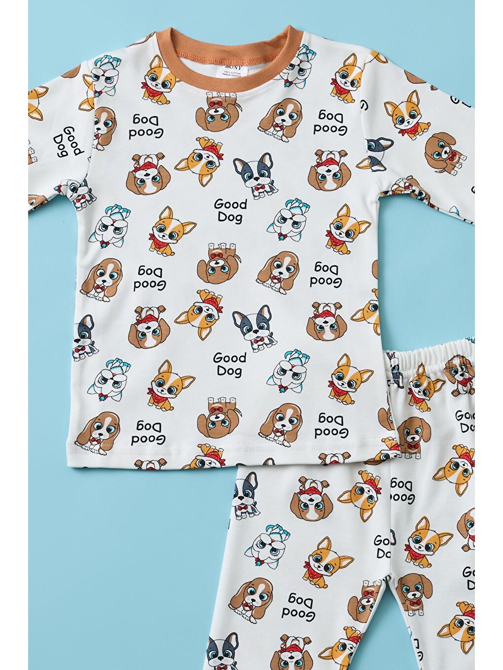 Karışık Erkek Çocuk Sevimli Köpek Baskılı Pijama Takımı-4