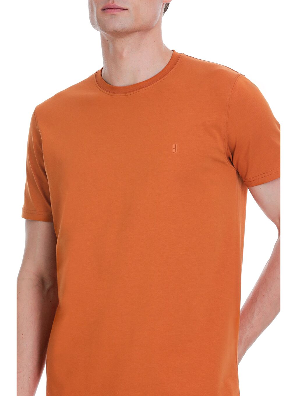 Kahverengi Tarçın Regular Fit Bisiklet Yaka Pamuklu %100 Pamuk Tişört-3