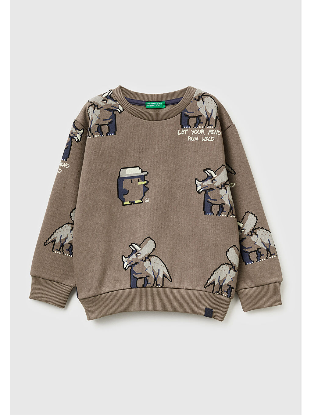 Erkek Çocuk Kahverengi Baskılı Ribanalı Bisiklet Yaka Regular Fit Sweatshirt