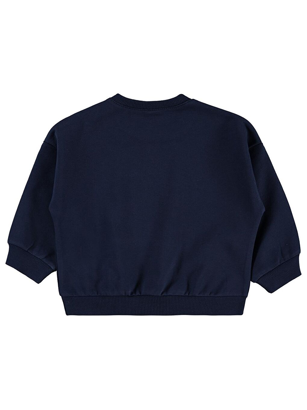 Baby Basic 6-18 Ay Sweatshirt - Lacivert 9-12 Ay-1