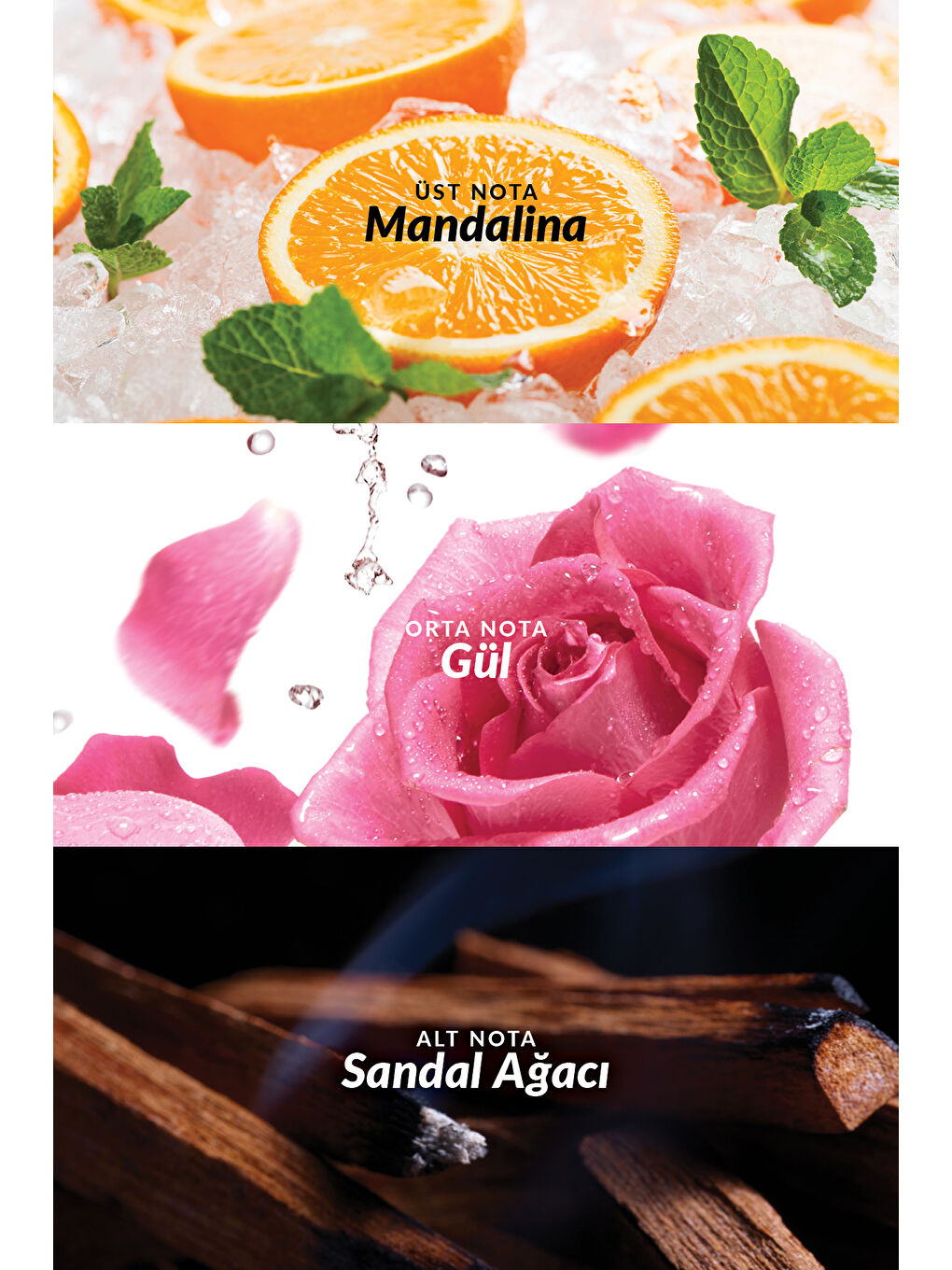 Lov U Connected Kadın Parfüm Edp 50 Ml. İkili Set-3