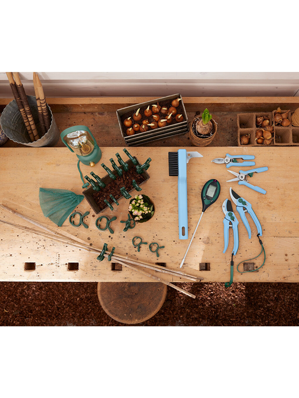 LED Masa Lambası, Küçük, Yeşil-1