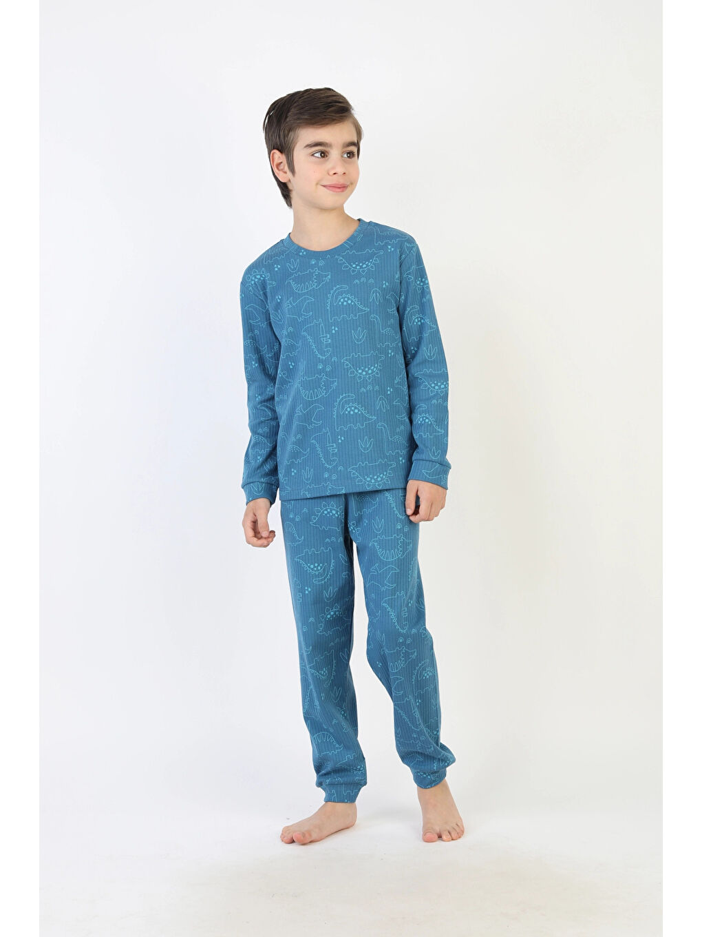 Mavi Dinozor Desenli Erkek Çocuk Pijama Takımı 51527-2