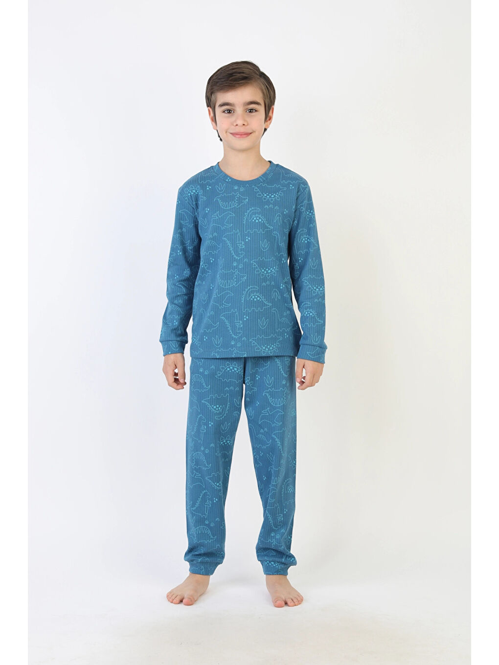 Mavi Dinozor Desenli Erkek Çocuk Pijama Takımı 51527-4