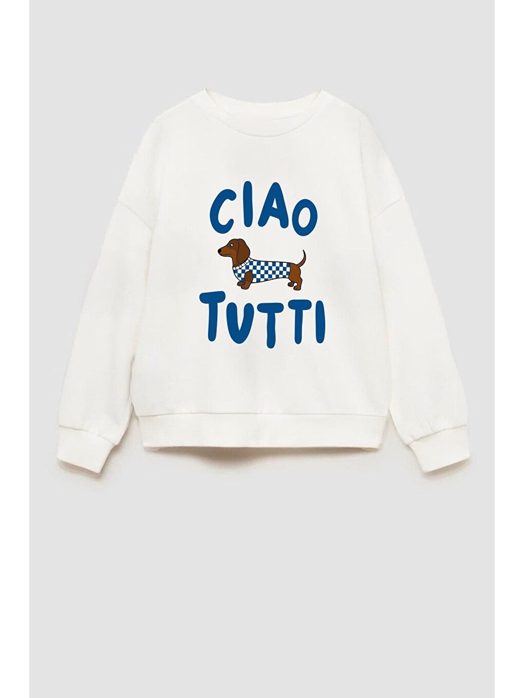 Ekru Erkek Çocuk 3 İplik Kumaş Köpek Baskılı Pamuklu Sweatshirt