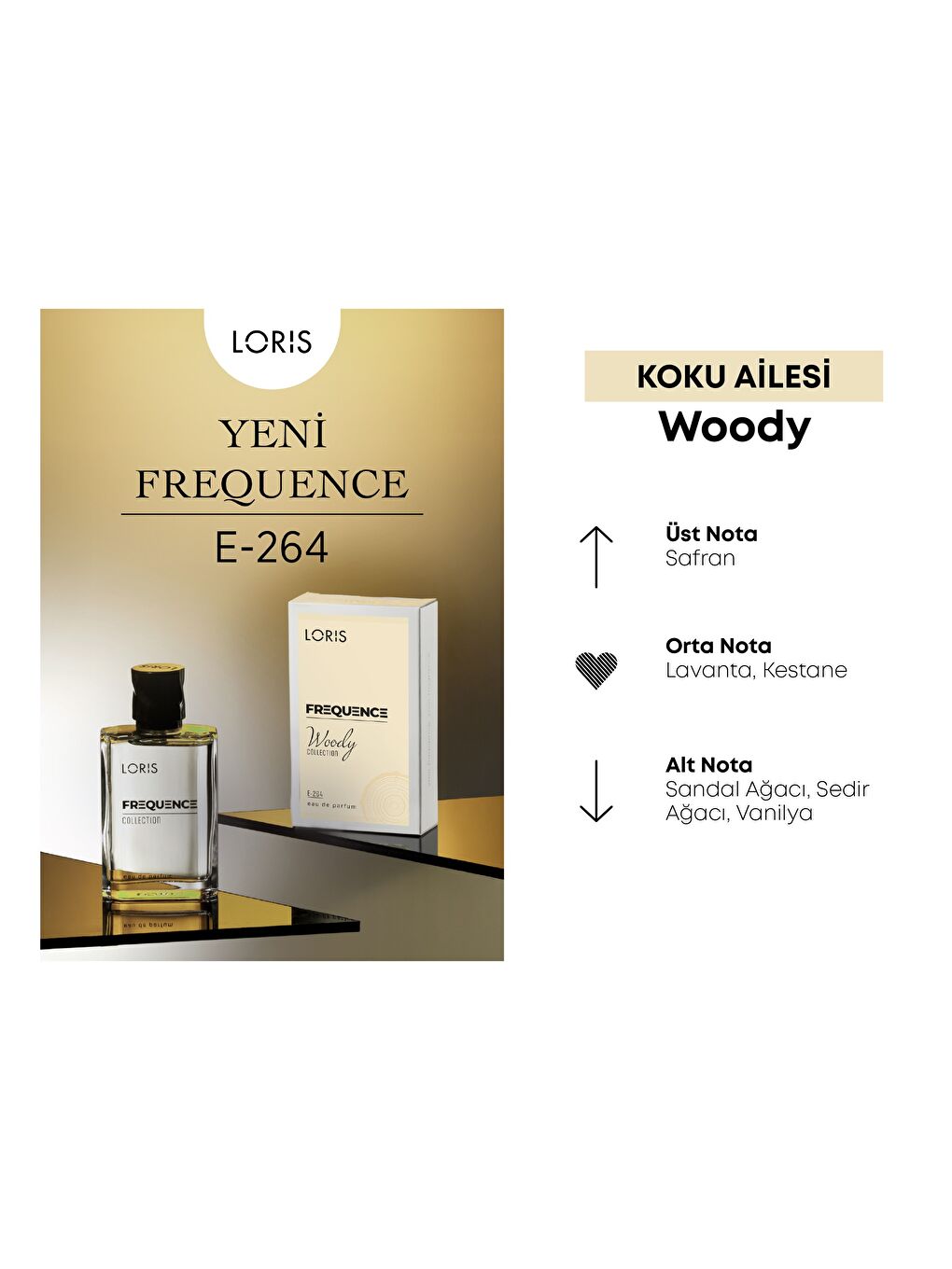 E-264 Frequence Erkek Parfüm EDP 50 ML-2