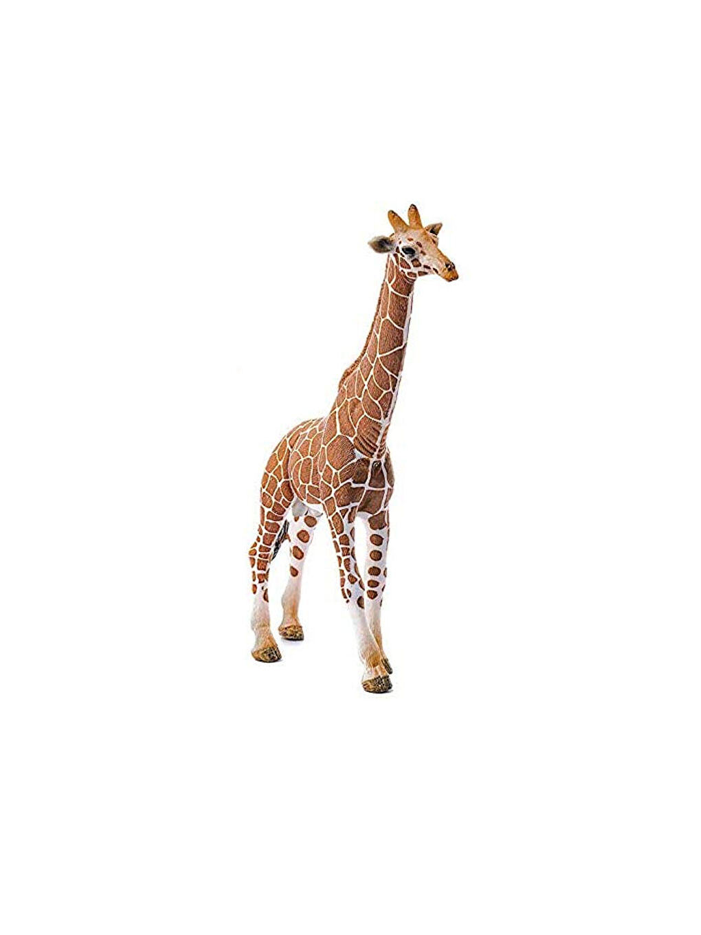 Erkek Zürafa 14749-1