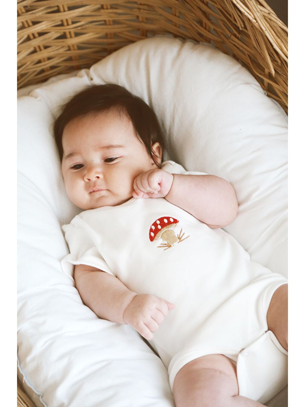 Beyaz 3Lü Nakışlı Çıt Çıtlı Kısa Kollu Body Zıbın Model 1-4