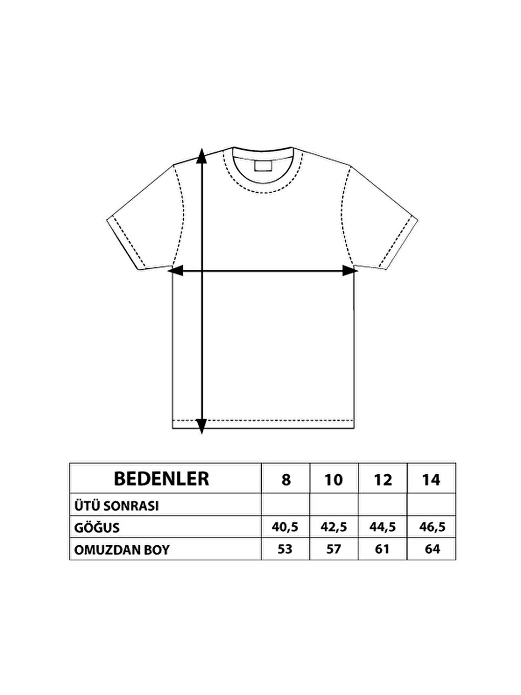 Haki Erkek Çocuk Baskılı Kolları Şerit Detaylı Tişört-3