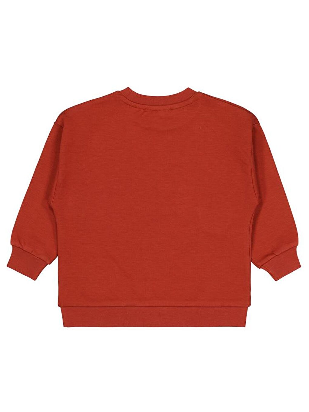 Boys Stay Wıld Anımal Baskılı 2-5 Yaş Sweatshirt - Turuncu2-3 Yaş-1