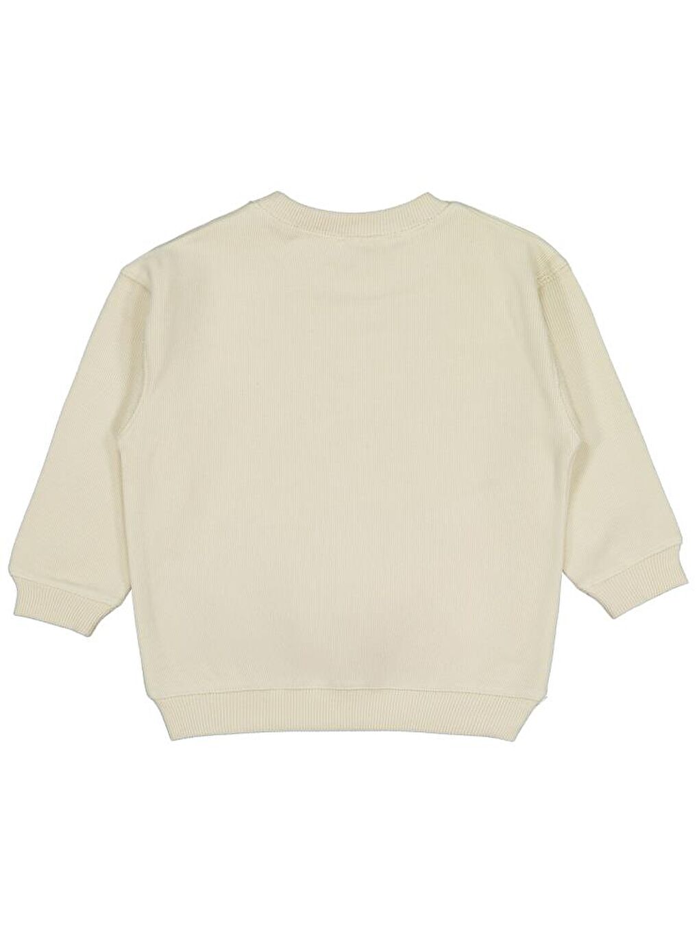 Boys Karyoka Dikişli 2-5 Yaş Sweatshirt - Bej 2-3 Yaş-1