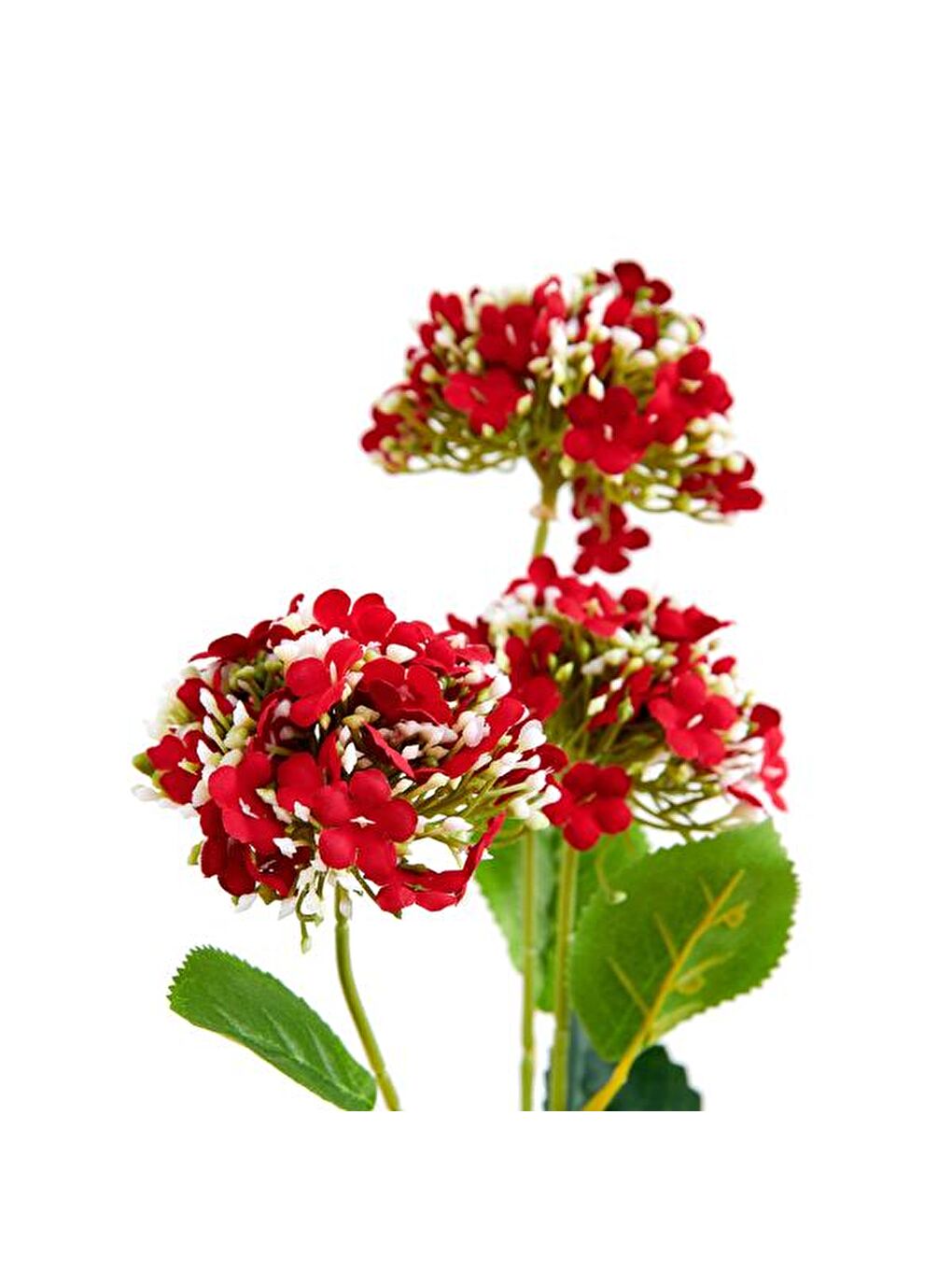 Dekoratif Tomurcuklu Ortanca - Kırmızı - 69 cm-1