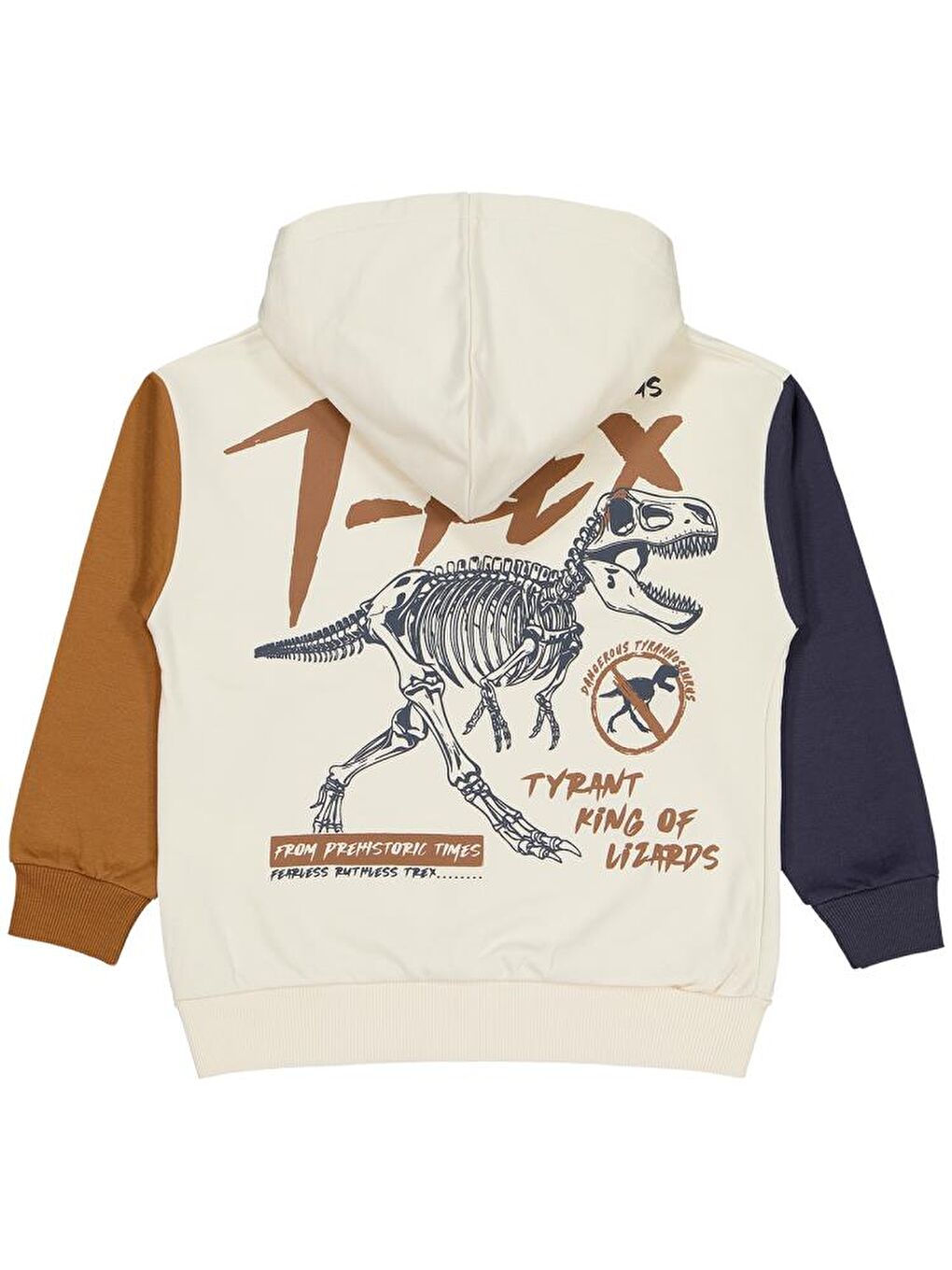 Antrasit Boys T Rex Baskılı Kapüşonlu 6-9 Yaş Sweatshirt-1