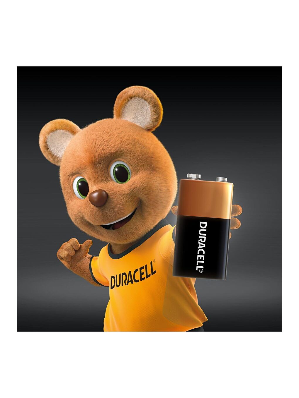 Alkalin 9V Pil   6LR61   MN1604   4 lü Paket-1